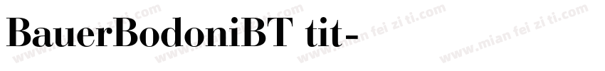 BauerBodoniBT tit字体转换